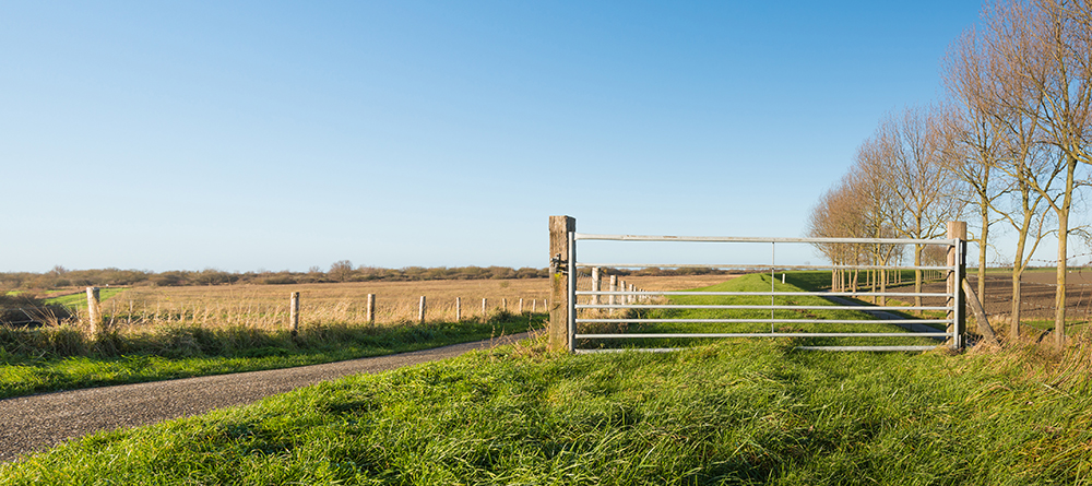 Farm