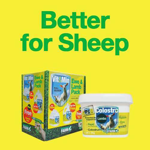 Better for Sheep