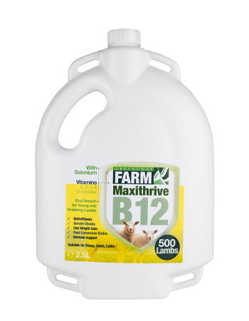 MaxiThrive - Oral drench for young and finishing lambs
